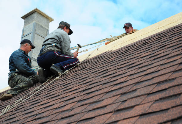 Best Roof Waterproofing Services  in Man, WV